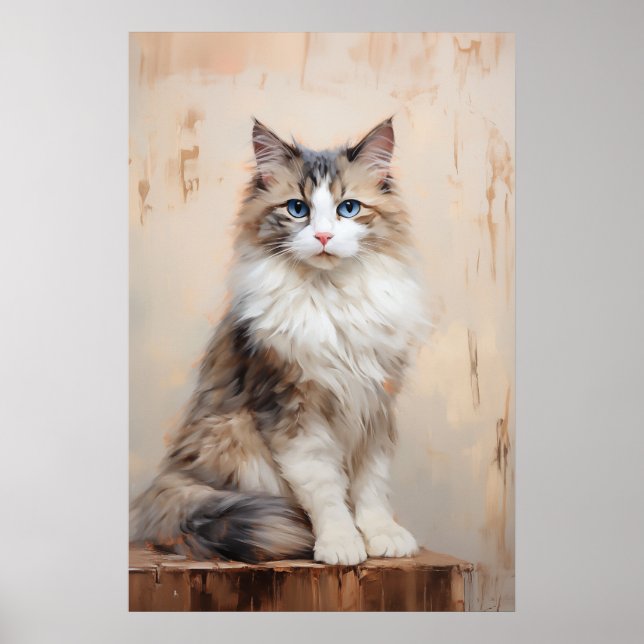 Poster Portrait de chat Ragdoll (Devant)