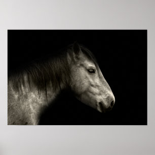 Poster Portrait de cheval
