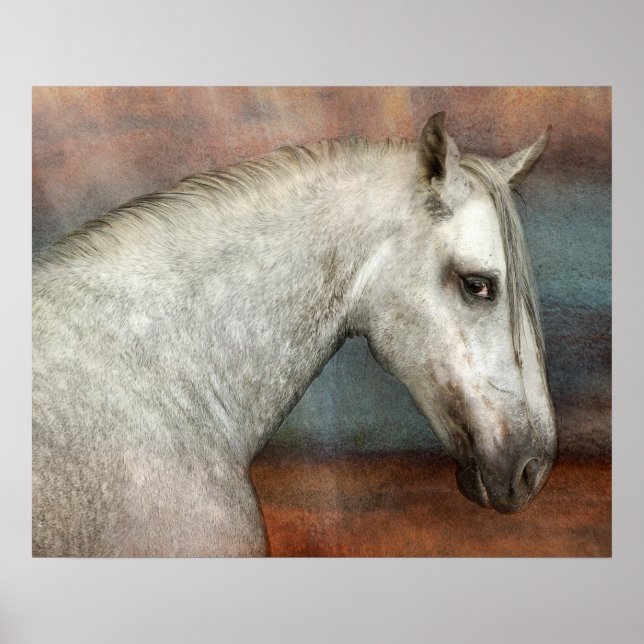 Poster Portrait de Cheval Andalou Gris Dappé (Devant)