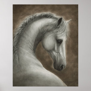 Poster Portrait de cheval blanc peint à la main