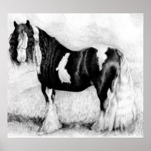 Poster Portrait de Cheval de Cob Tzigane