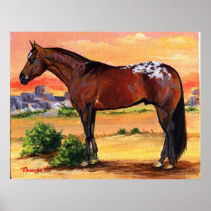 Poster Portrait de cheval de profil d'Appaloosa