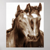 Portrait de cheval III