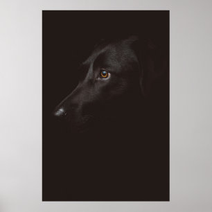 POSTER PORTRAIT DE CHIEN