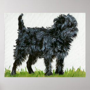 Poster Portrait de chien Affenpinscher