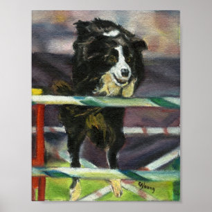 Poster Portrait de chien d'agilité de border collie
