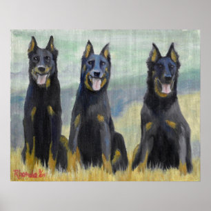Poster Portrait de chien de Beauceron