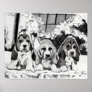 Poster Portrait de chien de chiots de Basset Hound