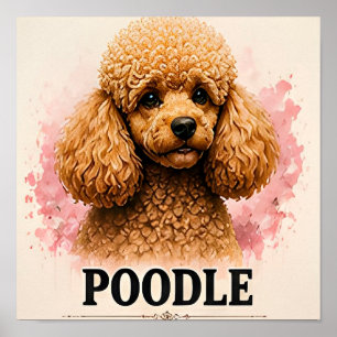 Poster Portrait de chien élégant Caniche Artwork Premium