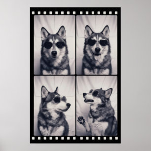 Poster Portrait de chien Husky
