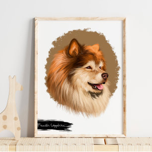 Poster Portrait de chien lapon finlandais Mur Portrait