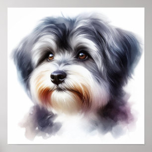 Poster Portrait de chien mignon Havanais en aquarelle