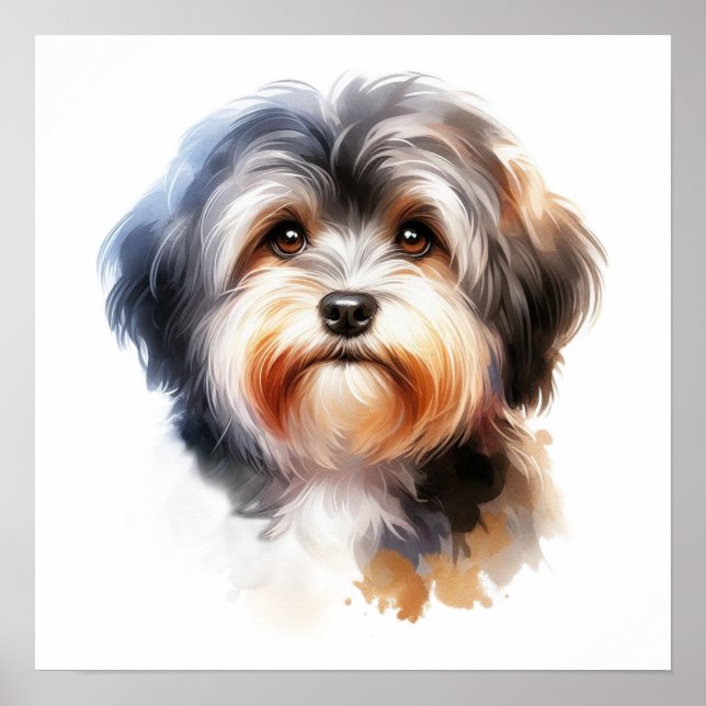 Poster Portrait de chien mignon Havanais en aquarelle (Devant)