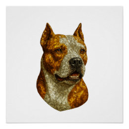 Poster Portrait de chien Pitbull