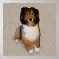 Portrait de chien Shelter mix
