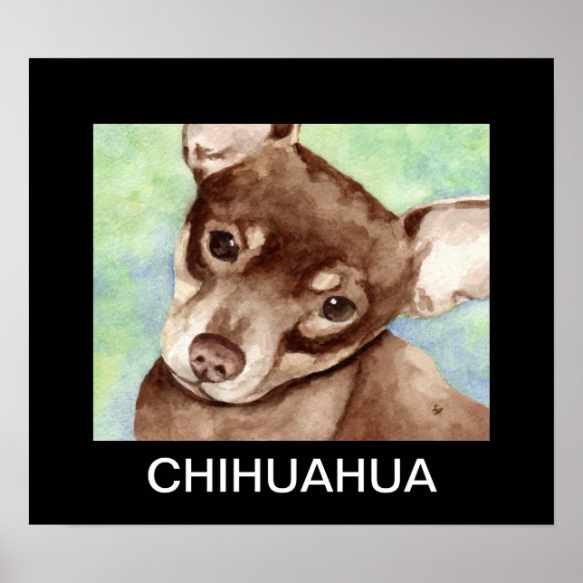 Poster Portrait de Chihuahua (Devant)
