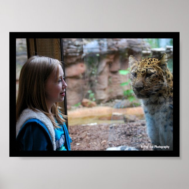 Poster Portrait de léopard et d'enfant (Devant)