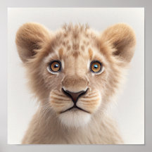 Portrait de Lion Bébé mignon | Carré 1:1