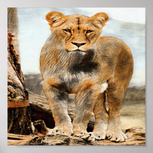Poster Portrait de Lioness