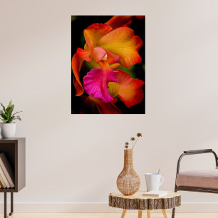 Poster Portrait de l'orchidée de Cattleya