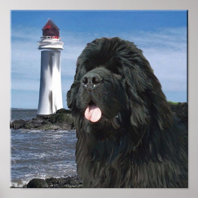 Poster Portrait de Newfoundland (Devant)