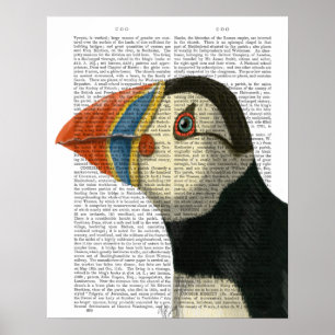 Poster Portrait de Puffin