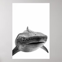 Portrait de requin baleine moderne noir blanc