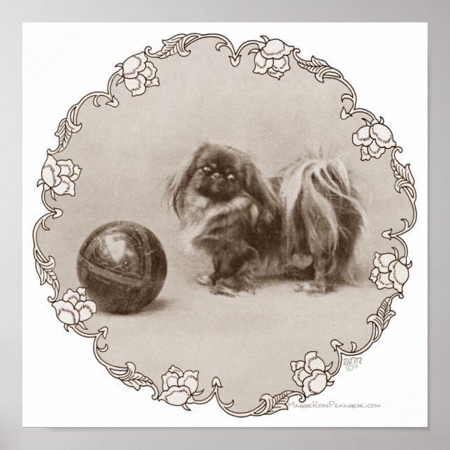 Poster Portrait de Sepia Pekingese (Devant)