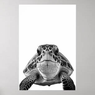 Poster Portrait de tortue marine moderne noir blanc  