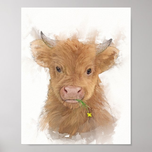 Poster Portrait de veau de vache Highland (Devant)