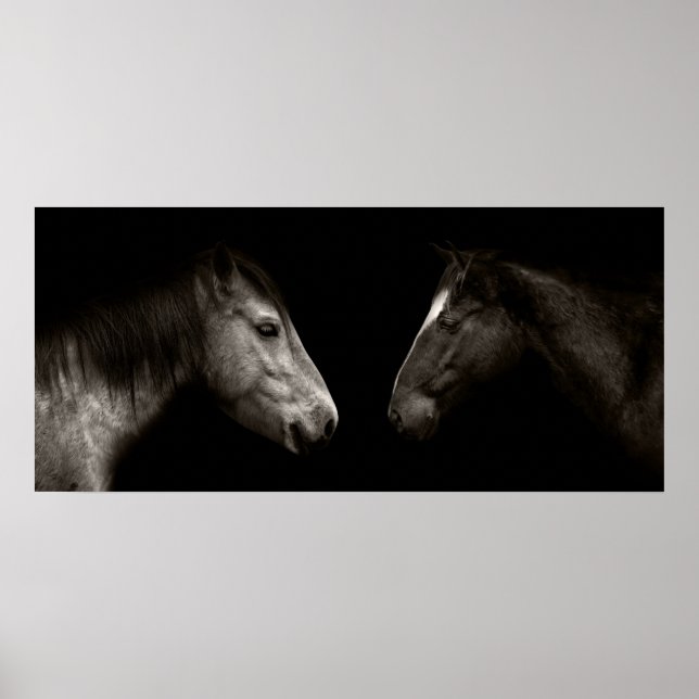 Poster Portrait des chevaux (Devant)