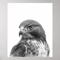 Portrait d'oiseau rouge à la queue noire blanc