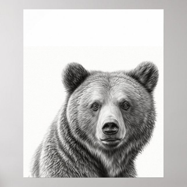 Poster Portrait d'ours grizzli noir blanc (Devant)