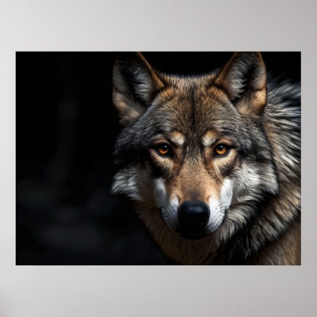 Poster Portrait du loup (Devant)