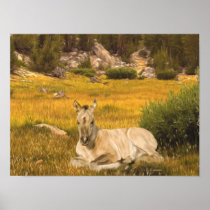 Poster Portrait du poulain du cheval en peau de boule