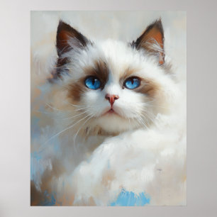 Poster Portrait d'un élégant chat Ragdoll aux yeux bleus