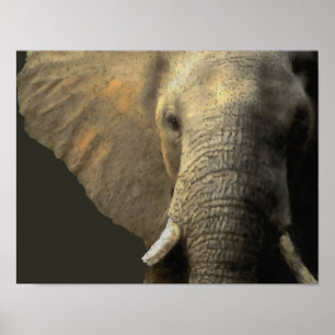 Poster Portrait éléphant