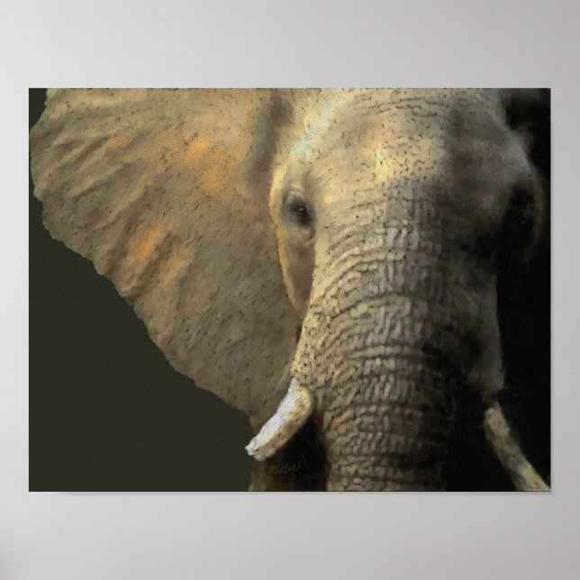 Poster Portrait éléphant (Devant)