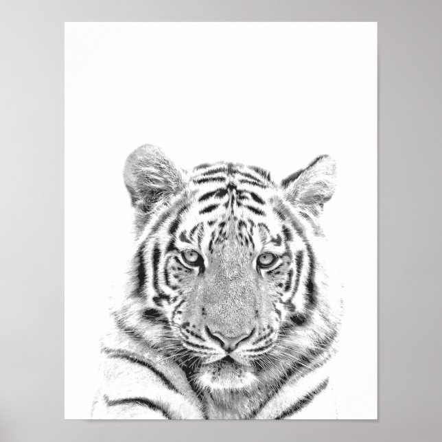 Poster Portrait noir et blanc de tigre (Devant)