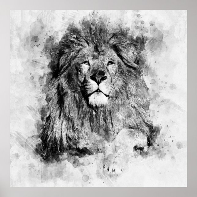 Poster Portrait noir et blanc du lion mâle (Devant)
