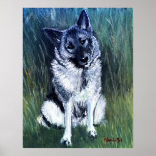 Poster Portrait norvégien Elkhound Dog