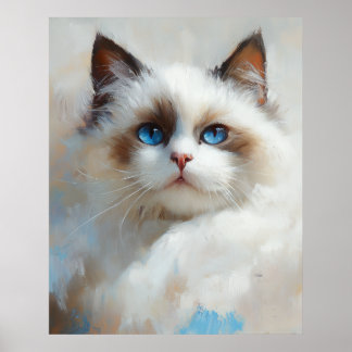 Poster Portrait of an elegant Ragdoll Cat with blue eyes