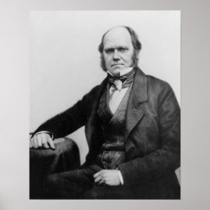 Poster Portrait of Charles Darwin, 1854