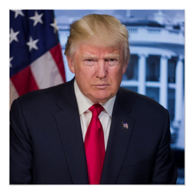 Poster Portrait officiel de Donald Trump (Devant)