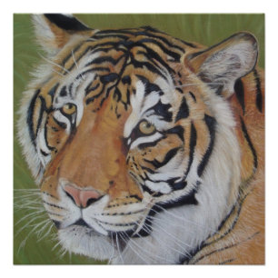 Poster portrait original de la faune du tigre