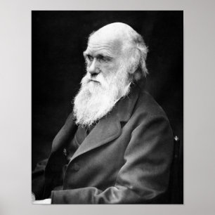 Poster Portrait Photo de Charles Darwin