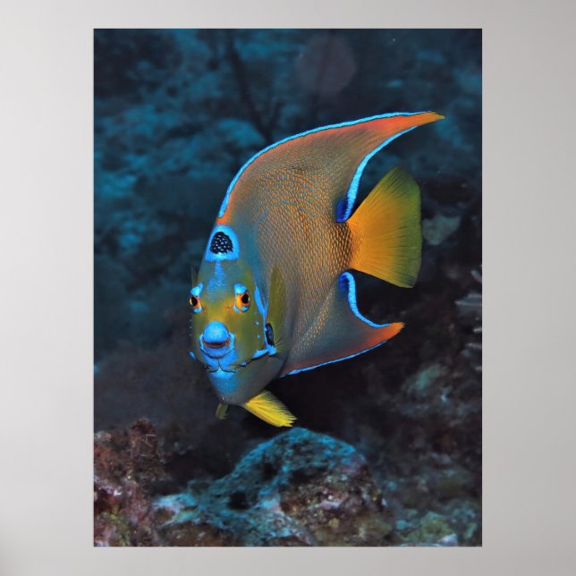 Poster Portrait Queen Angel (Devant)