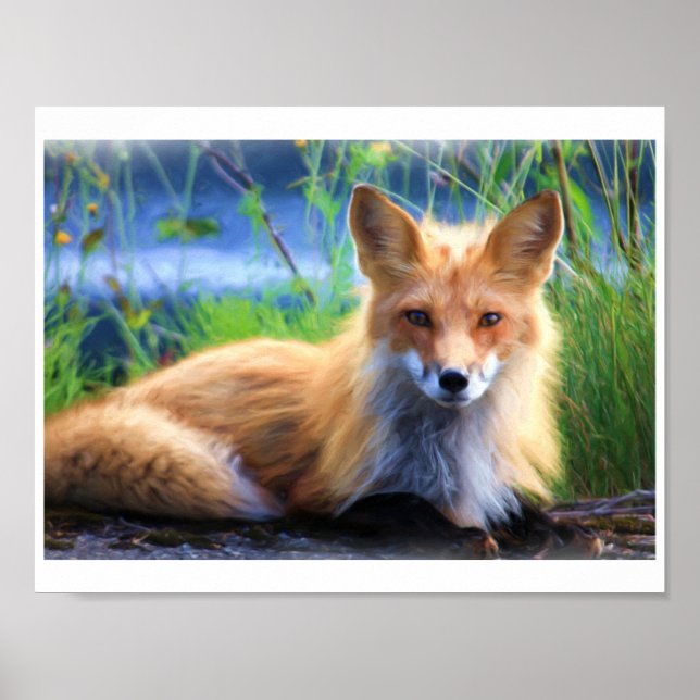Poster Portrait Red Fox D'Une Peinture Aquarelle (Devant)