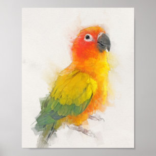 Poster Portrait Sun Conure