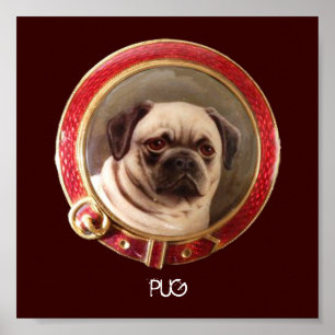 Poster PORTRAITS MINIATURES DE CHIENS VICTORIENS Carlin